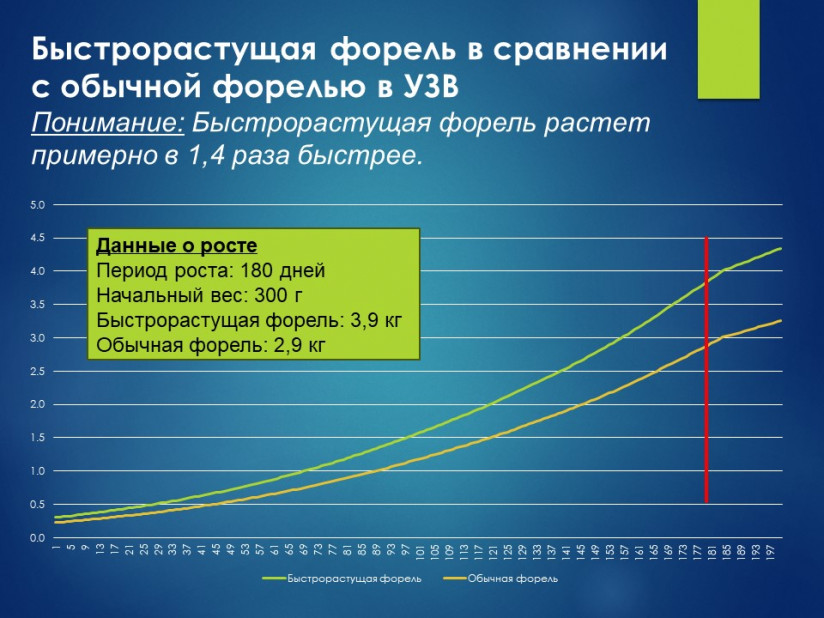 Виталий Цаюн, RAS Consulting: «Ключевым фактором при оценке рисков в УЗВ является масштаб проблемы»