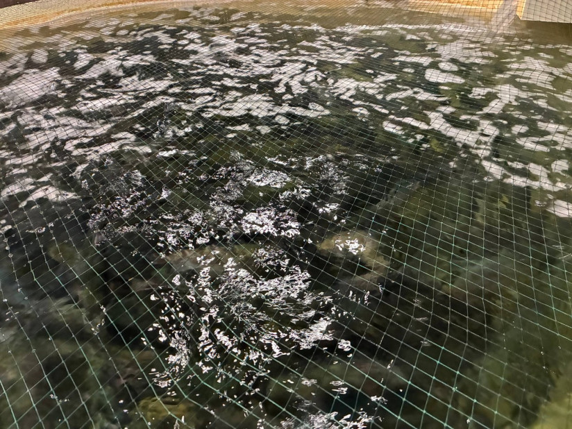 Виталий Цаюн, RAS Consulting: «Ключевым фактором при оценке рисков в УЗВ является масштаб проблемы»