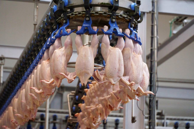 Стратегия управления агрохолдингом «Агросила» по итогам 2025 года