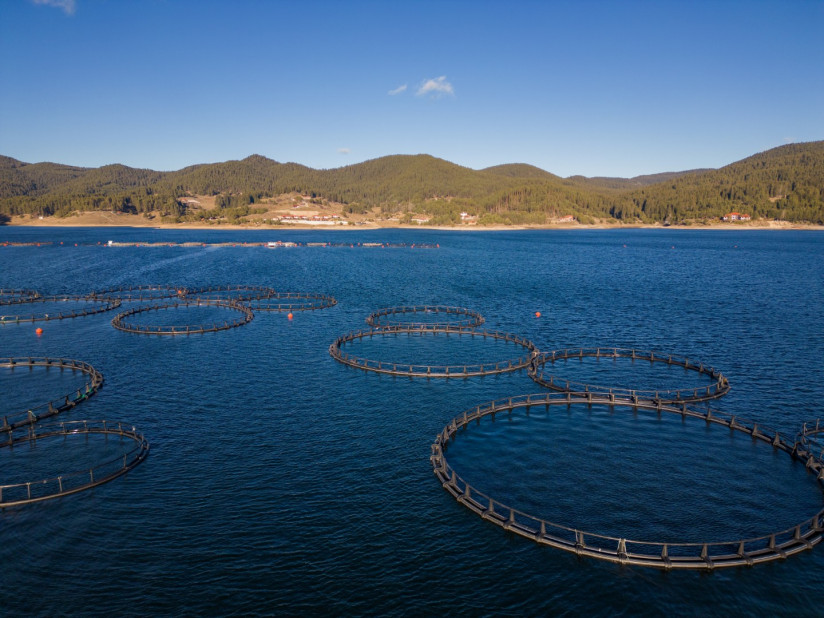 Сергей Комар, Komar & Partners — о балансе интересов аквакультурных хозяйств и публичного режима береговой полосы