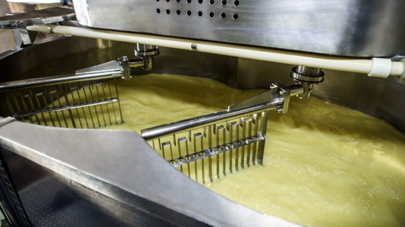 Юлия Маркова, DairyTech: «Мы расширяемся туда, куда указывает рынок»