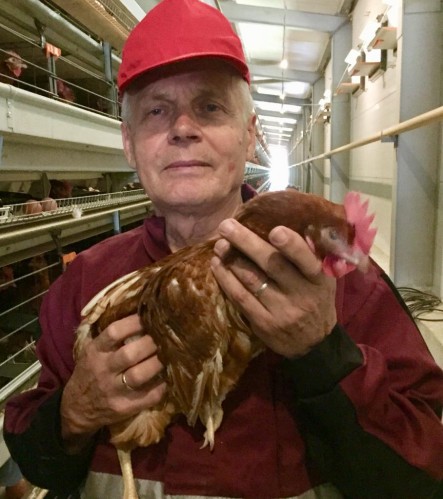 Заболевания птиц: микотоксикозы