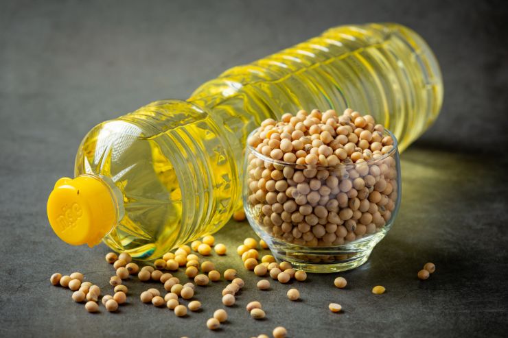 soybean-oil-soybean-food-beverage-products-food-nutrition-concept (1)