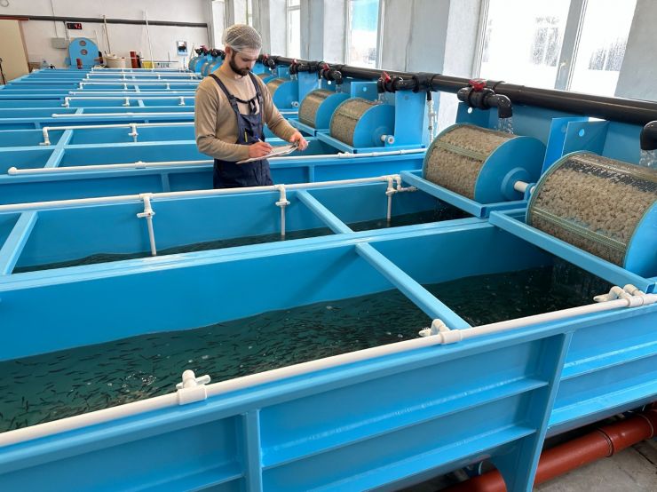 Производство рыбопосадочного материала в России