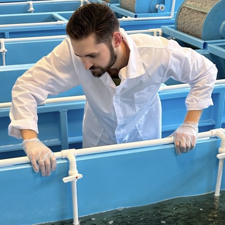 Антон Швец, глава КФХ «Галеон» — о выращивании рыбопосадочного материала форели в УЗВ