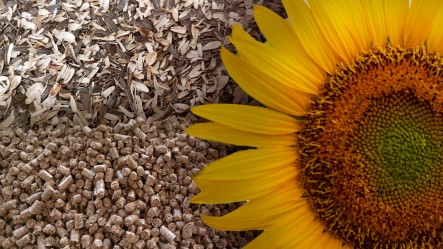 Пеллеты из лузги подсолнечника: актуальные решения