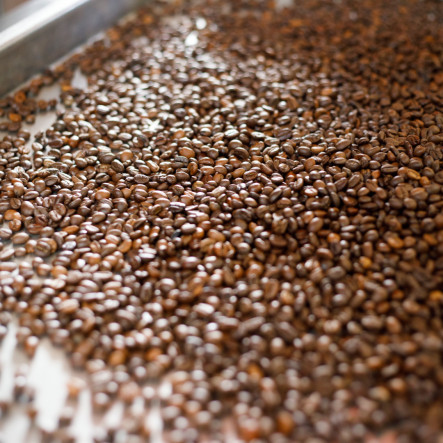 Бариста Дмитрий Корсаков — о кофе без кофеина