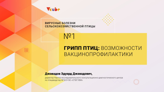 Эдуард Джавадов: «Грипп птиц: возможности вакцинопрофилактики»