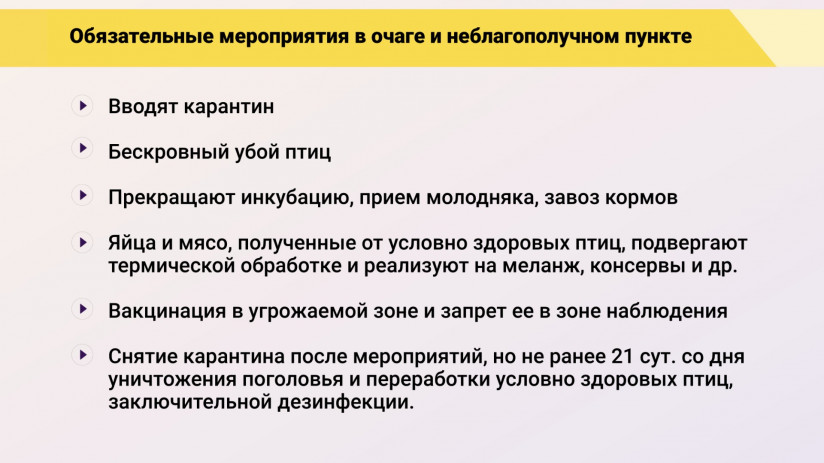 Эдуард Джавадов: «Грипп птиц: возможности вакцинопрофилактики»