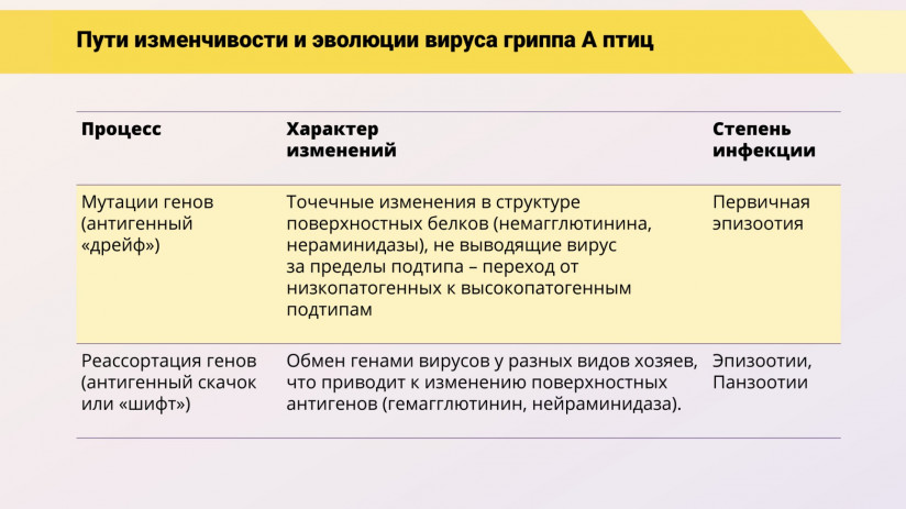 Эдуард Джавадов: «Грипп птиц: возможности вакцинопрофилактики»