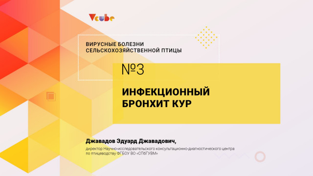 Эдуард Джавадов: «Инфекционный бронхит кур»