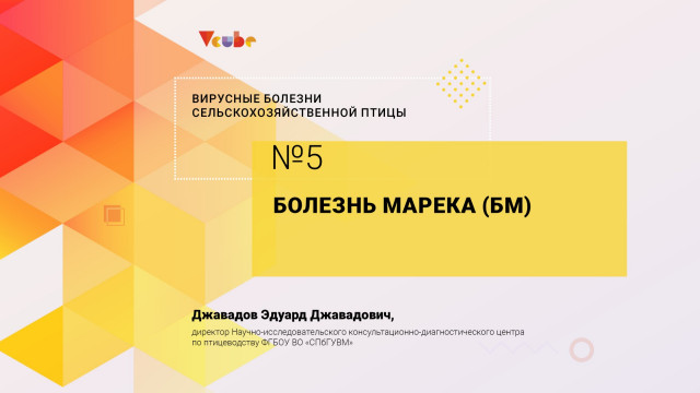 Эдуард Джавадов: «Болезнь Марека»
