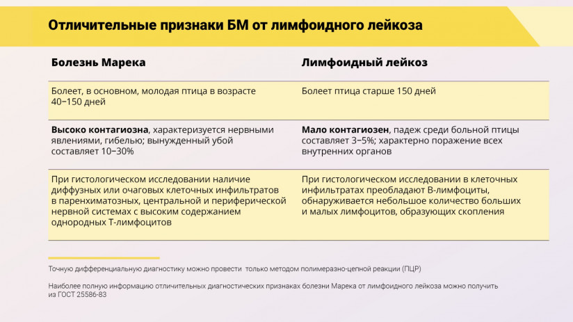 Эдуард Джавадов: «Болезнь Марека»