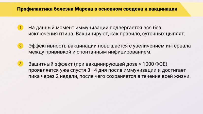 Эдуард Джавадов: «Болезнь Марека»