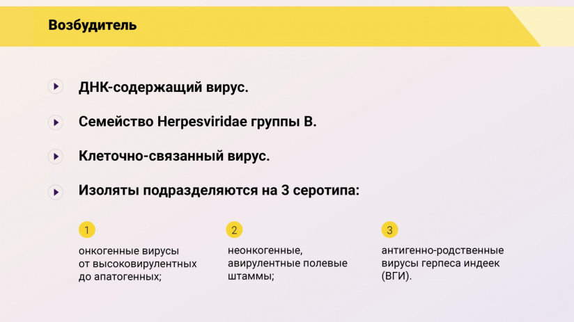 Эдуард Джавадов: «Болезнь Марека»