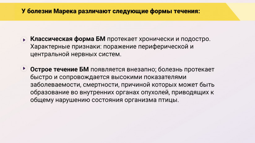 Эдуард Джавадов: «Болезнь Марека»