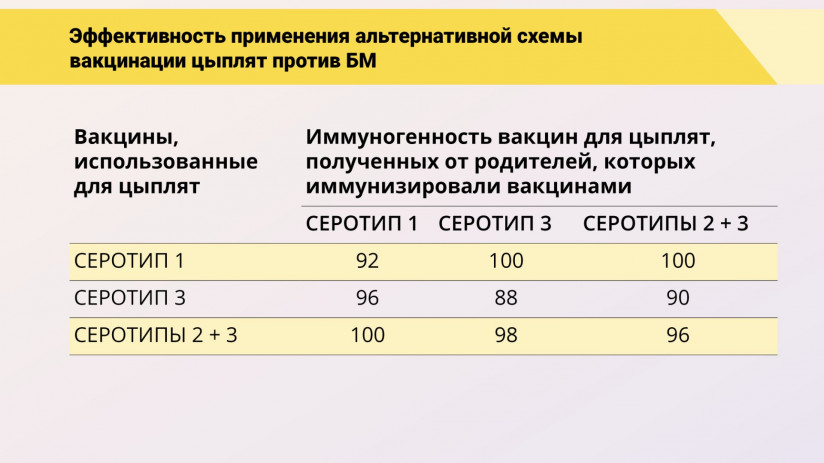 Эдуард Джавадов: «Болезнь Марека»
