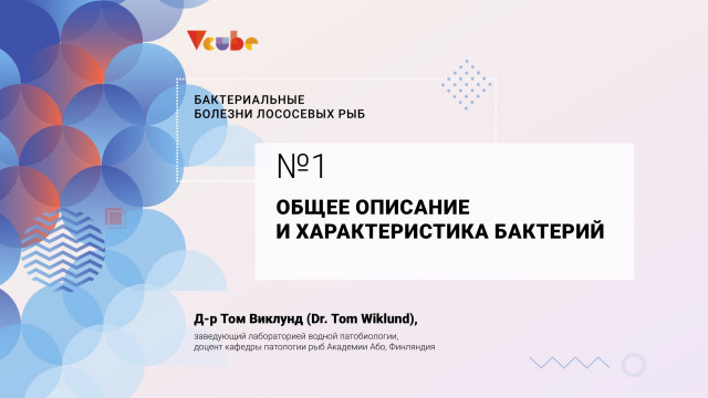 Общее описание и характеристика бактерий