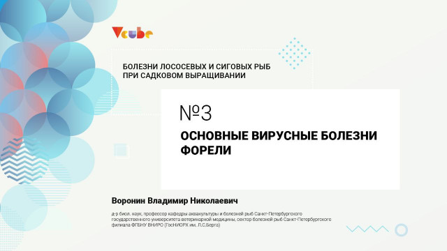 Основные вирусные болезни форели