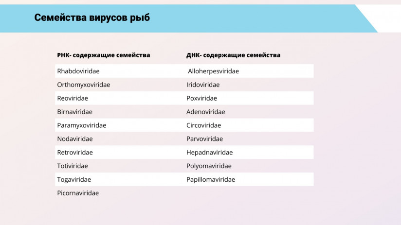 Основные вирусные болезни форели