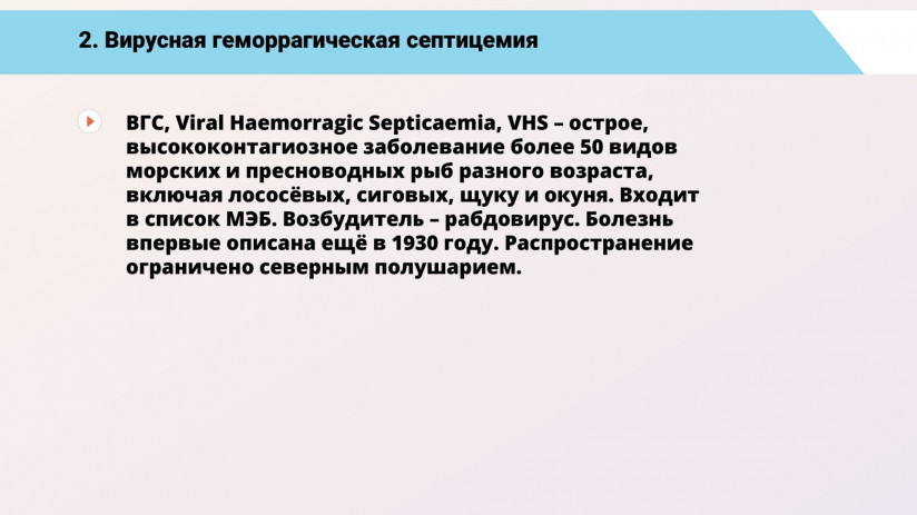 Основные вирусные болезни форели