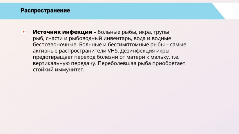 Основные вирусные болезни форели