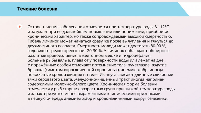 Основные вирусные болезни форели