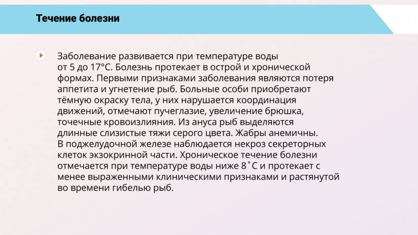 Основные вирусные болезни форели