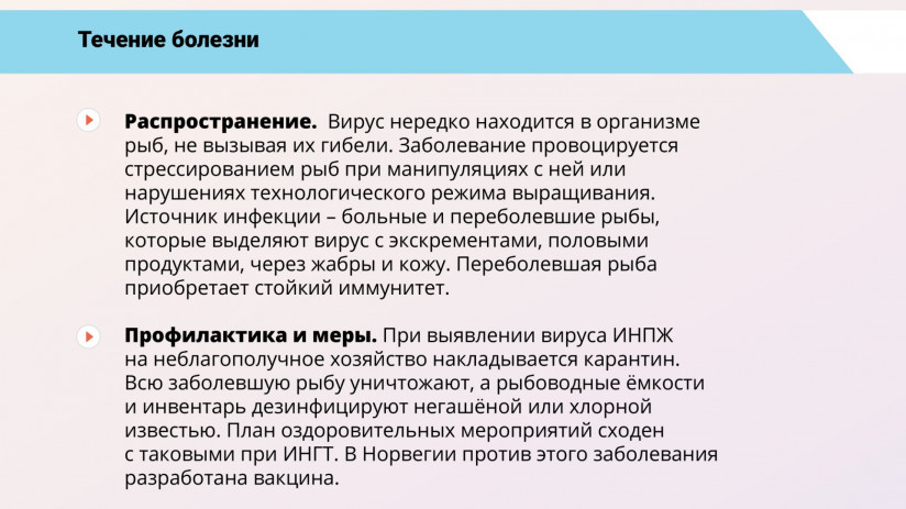 Основные вирусные болезни форели