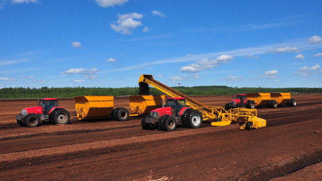 Дмитрий Кулешов, ООО «Норд Палп» — как минеральные удобрения влияют на урожай
