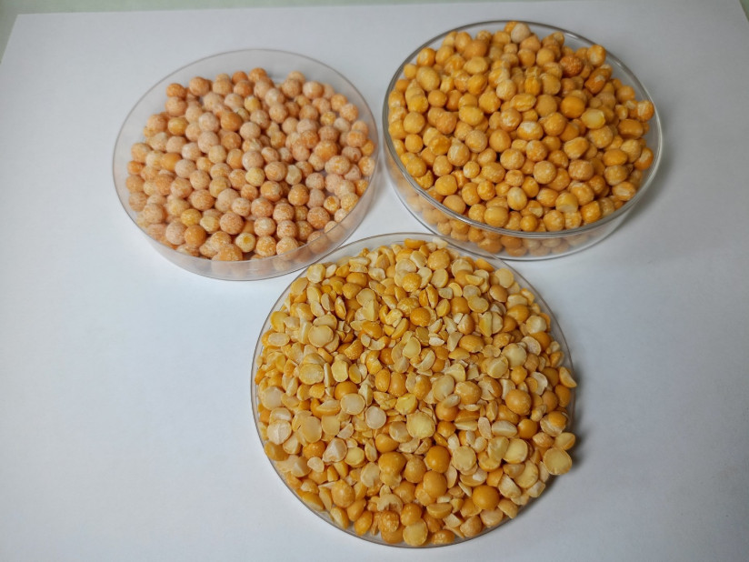 День гороха: традиции, польза и контроль качества в ЦОК АПК