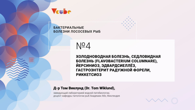 Холодноводная болезнь, седловидная болезнь, иерсиниоз, эдвардсиеллез, гастроэнтерит радужной форели, риккетсиоз