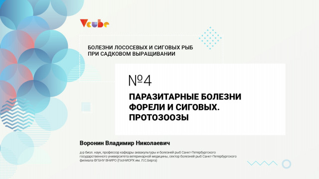 Владимир Воронин. Паразитарные болезни форели и сиговых. Протозоозы