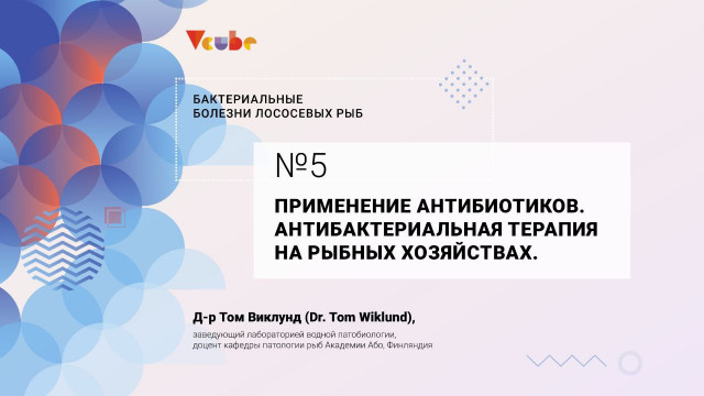 Том Виклунд. Применение антибиотиков. Антибактериальная терапия на рыбных хозяйствах