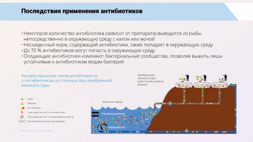 Том Виклунд. Применение антибиотиков. Антибактериальная терапия на рыбных хозяйствах