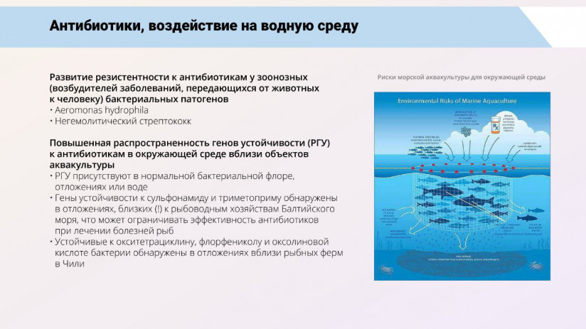 Том Виклунд. Применение антибиотиков. Антибактериальная терапия на рыбных хозяйствах