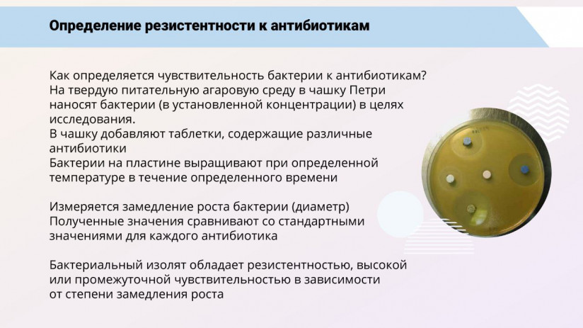 Том Виклунд. Применение антибиотиков. Антибактериальная терапия на рыбных хозяйствах