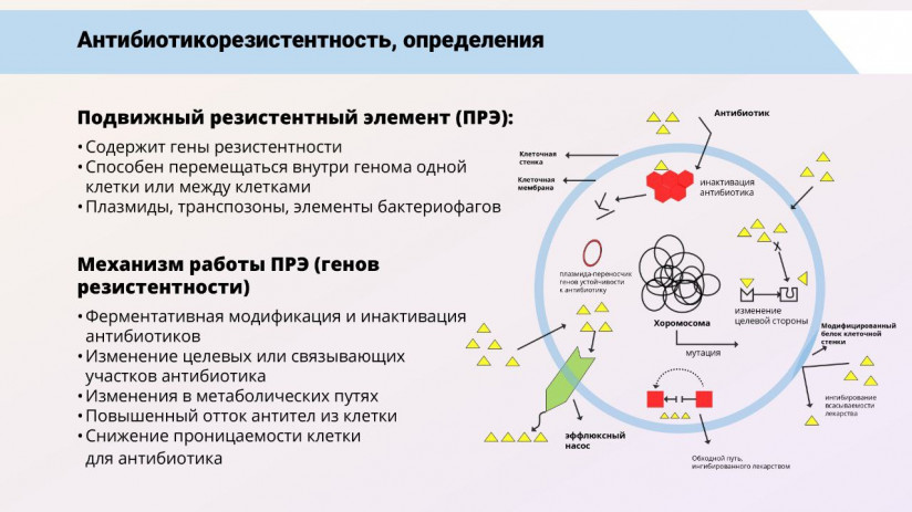 Том Виклунд. Применение антибиотиков. Антибактериальная терапия на рыбных хозяйствах