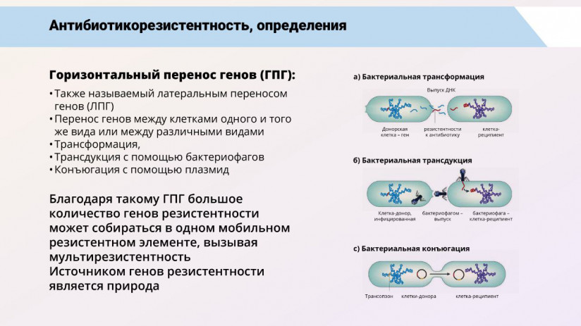 Том Виклунд. Применение антибиотиков. Антибактериальная терапия на рыбных хозяйствах