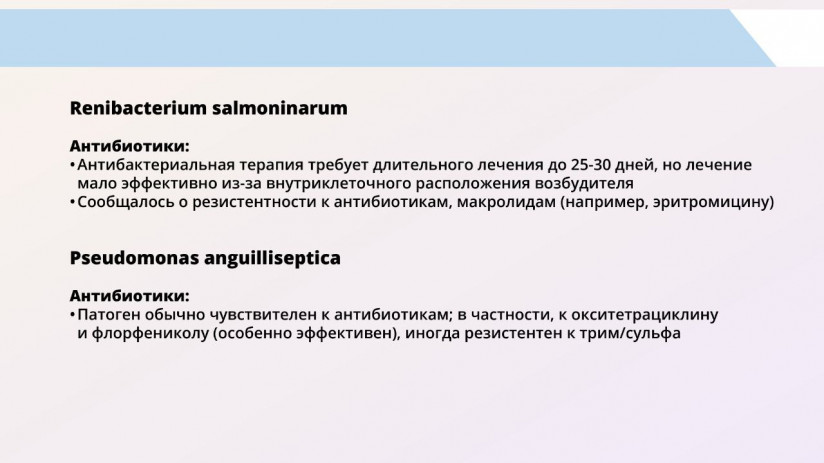 Том Виклунд. Применение антибиотиков. Антибактериальная терапия на рыбных хозяйствах