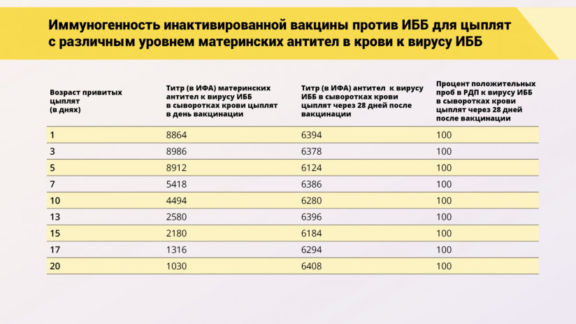 Эдуард Джавадов: Прогрессивные методы вакцинопрофилактики в промышленном птицеводстве