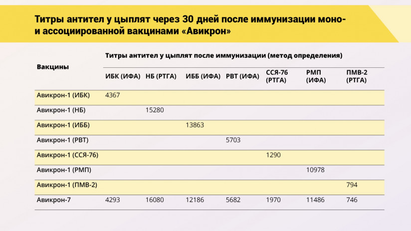 Эдуард Джавадов: Прогрессивные методы вакцинопрофилактики в промышленном птицеводстве