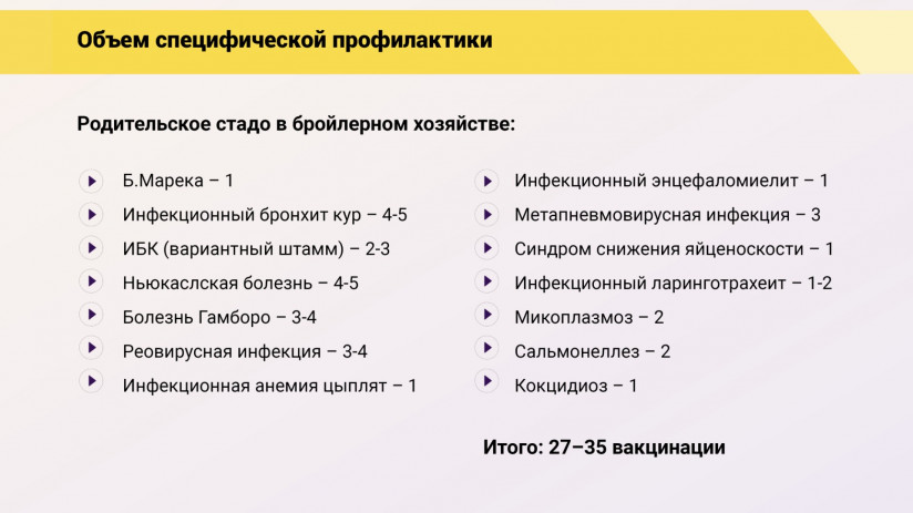 Эдуард Джавадов: Прогрессивные методы вакцинопрофилактики в промышленном птицеводстве