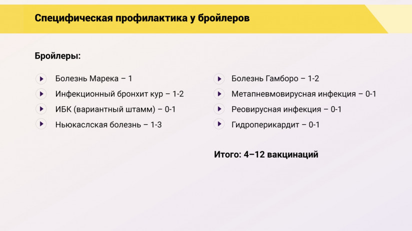 Эдуард Джавадов: Прогрессивные методы вакцинопрофилактики в промышленном птицеводстве