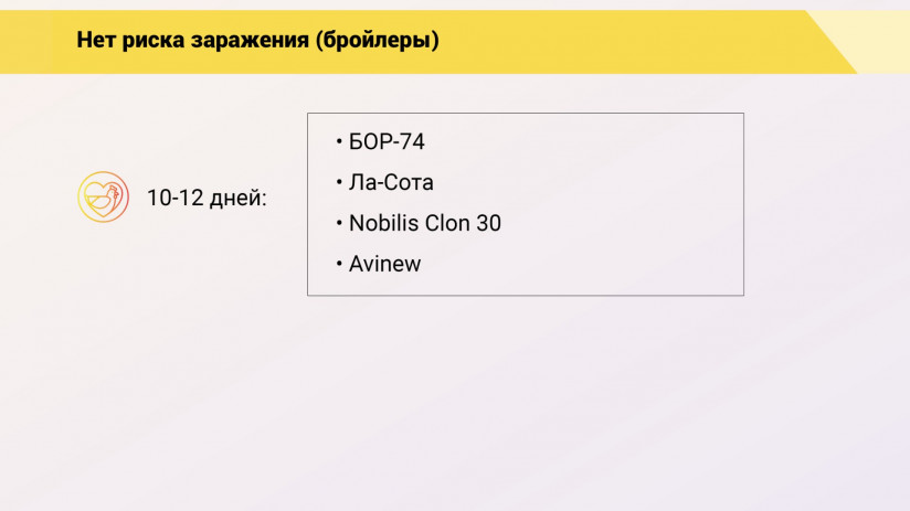 Эдуард Джавадов: Прогрессивные методы вакцинопрофилактики в промышленном птицеводстве