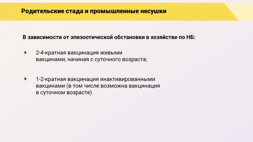 Эдуард Джавадов: Прогрессивные методы вакцинопрофилактики в промышленном птицеводстве