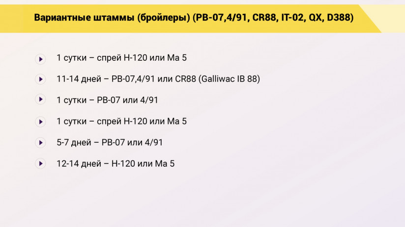 Эдуард Джавадов: Прогрессивные методы вакцинопрофилактики в промышленном птицеводстве
