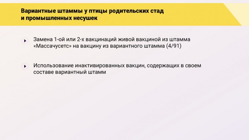 Эдуард Джавадов: Прогрессивные методы вакцинопрофилактики в промышленном птицеводстве
