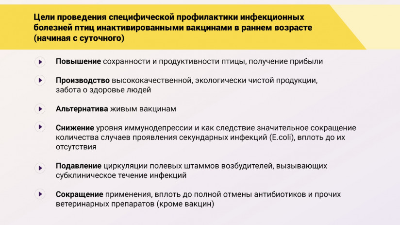 Эдуард Джавадов: Прогрессивные методы вакцинопрофилактики в промышленном птицеводстве