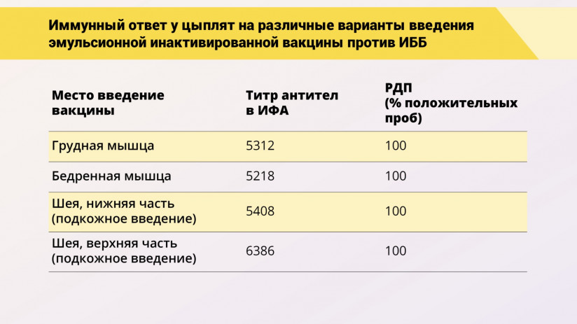 Эдуард Джавадов: Прогрессивные методы вакцинопрофилактики в промышленном птицеводстве
